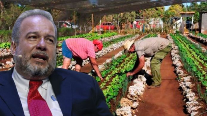 Primer Ministro de Cuba pide 