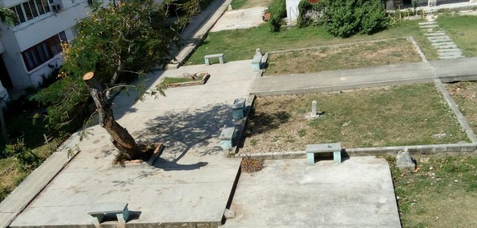 Cubana cuenta la odisea burocrática que tuvo que enfrentar cuando decidió plantar tres árboles en el parque que está frente a su casa en La Habana