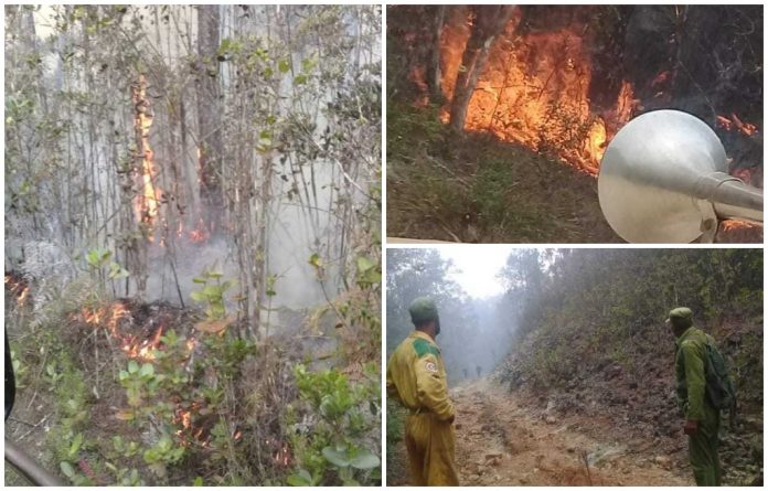 Incendio de gran magnitud arrasa cientos de hectáreas del Parque Nacional Alejandro de Humboldt, al oriente de Cuba, y los bomberos siguen sin poder controlarlo