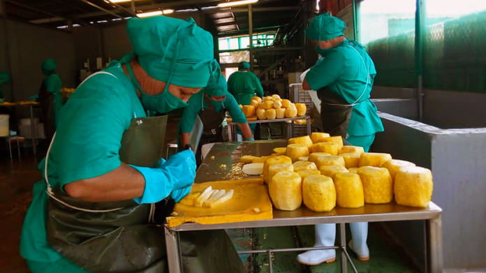 Mientras los cubanos tienen que luchar a diario la comida, el Gobierno anuncia que comenzará a exportar mamey colorado y plátanos a Europa