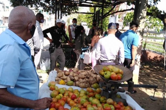 Cuba tiene los alimentos más caros del mundo en relación con el salario que ganan los trabajadores