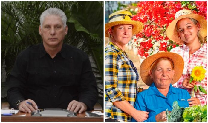 En que clase de lío se ha metido Díaz-Canel en Twitter con su felicitación por el Día de las Madres a las cubanas!!!