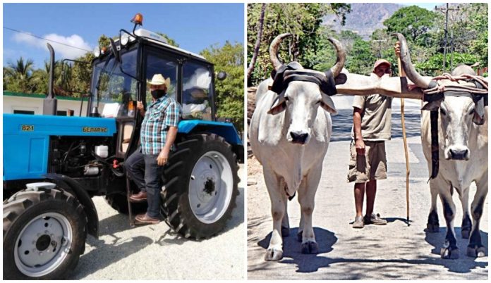 Gobierno cubano vende tractores rusos por miles de dólares a los campesinos mientras el Granma promueve las 