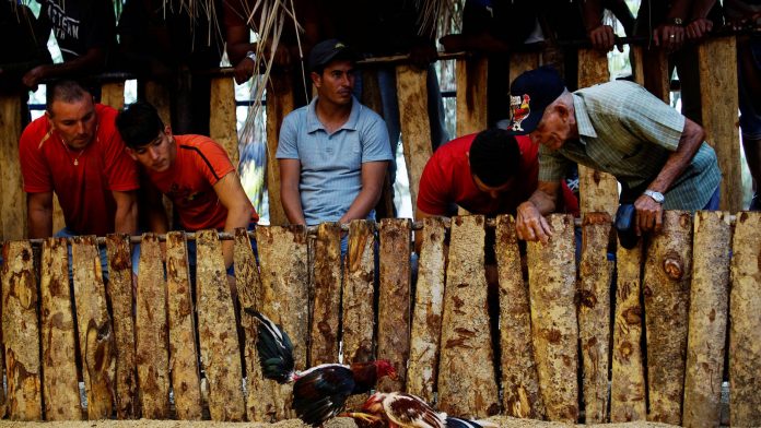 La vedette cubana Niurka Marcos vuelve a ser el centro del escándalo tras dejar sus pechos al aire en un programa de televisión