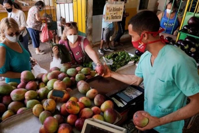 En Santiago de Cuba, el mango sustituye al pan de la libreta para calmar el hambre