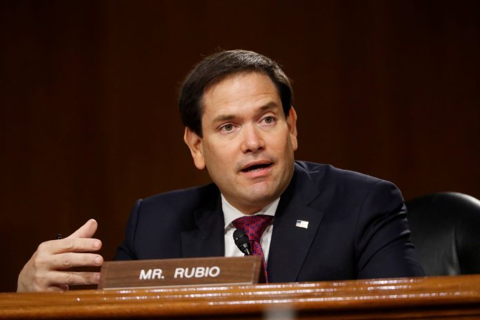 Senador cubanoamericano Marco Rubio denuncia represión en Cuba ante Senado de EEUU: 