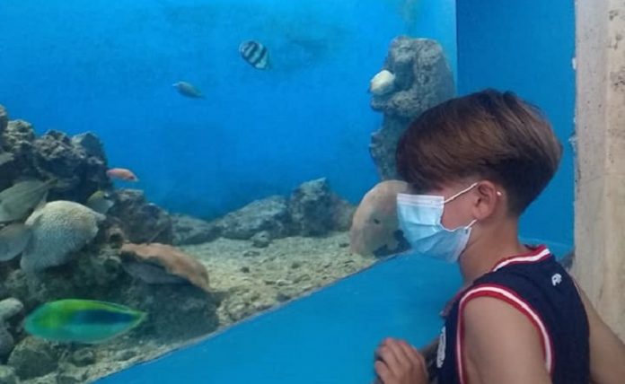 Ni peces quedan en el Acuario Nacional de Cuba