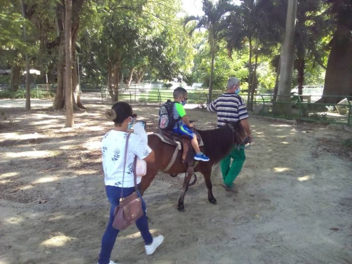 Tras meses de cierre total, reabren sus puertas al público zoológicos y el acuario en La Habana
