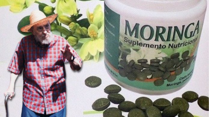 Hasta la moringa que prometió Fidel Castro escasea en Cuba
