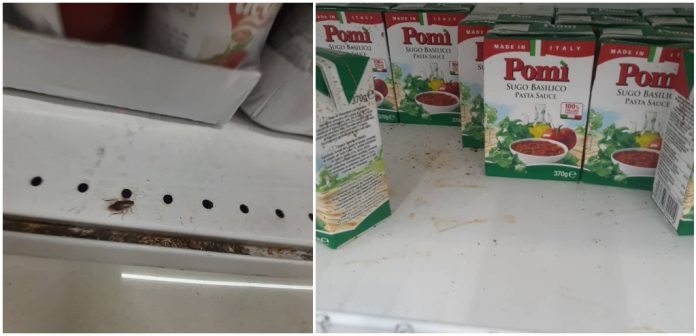Plagas de cucarachas también invaden las tiendas en MLC en La Habana (+ Fotos)