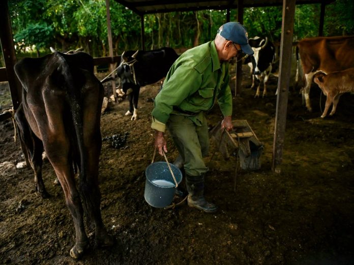 ¿Dónde quedó el famoso vaso de leche prometido por Fidel Castro para todos los cubanos?